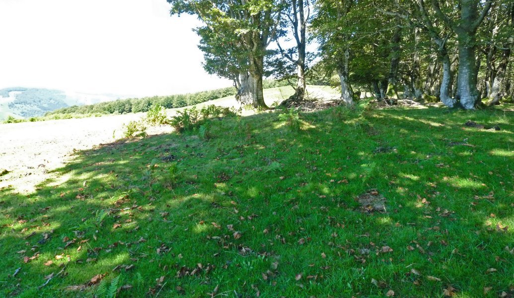 Baztarrolako tumulua