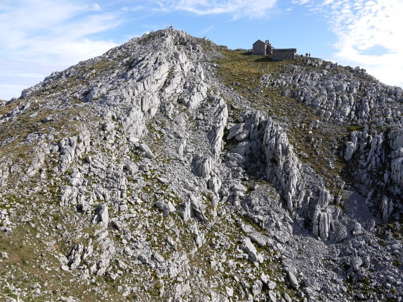 Tontorra Hegoaldetik