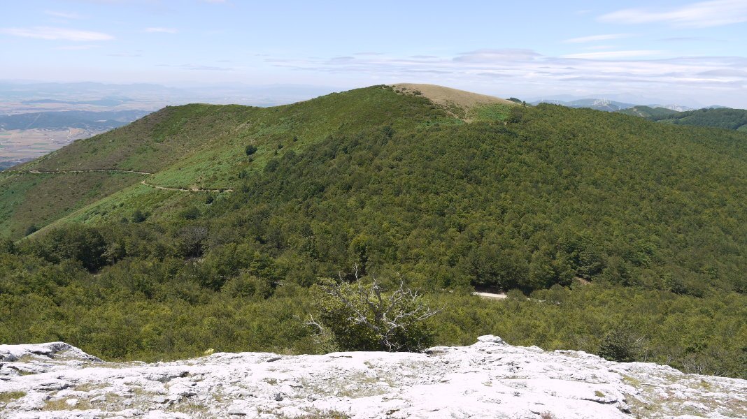 Burgalaitzetik ikusita