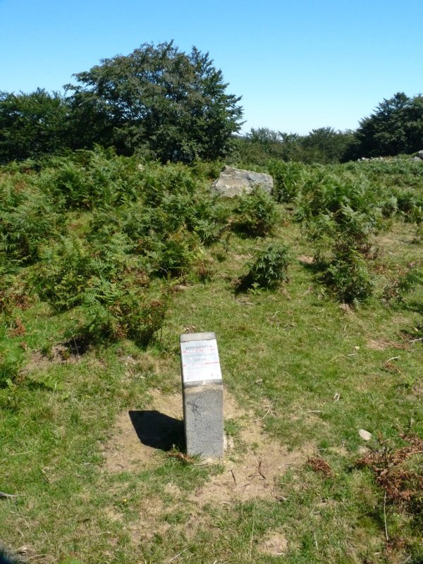 Biuztaingo adierazgarria