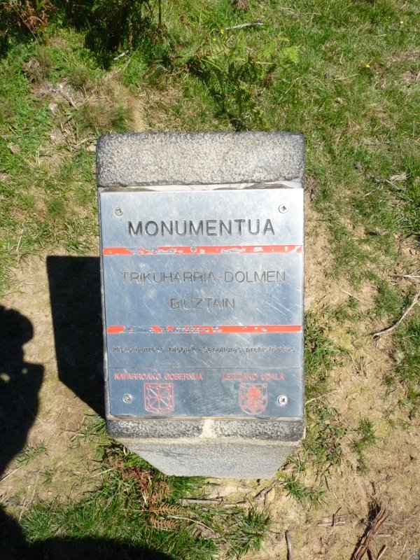 Biuztaingo adierazgarria