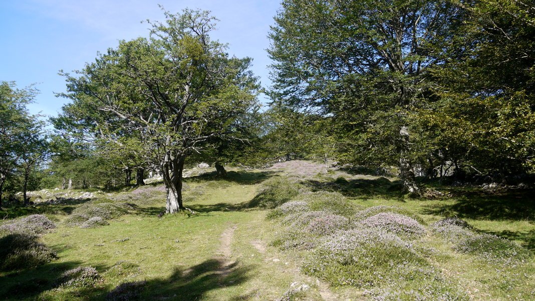 Artxuetako Ekialdeko bizkarrean gora