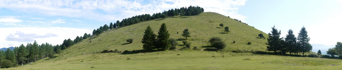Arranoaitz Hegoaldeko lepotik