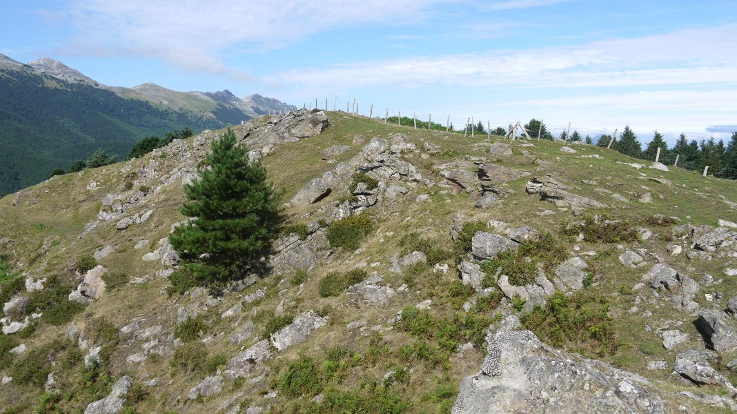 Tontorra Ekialdeko bizkarretik