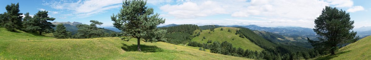 Oamenditik Ollargain aldera begira