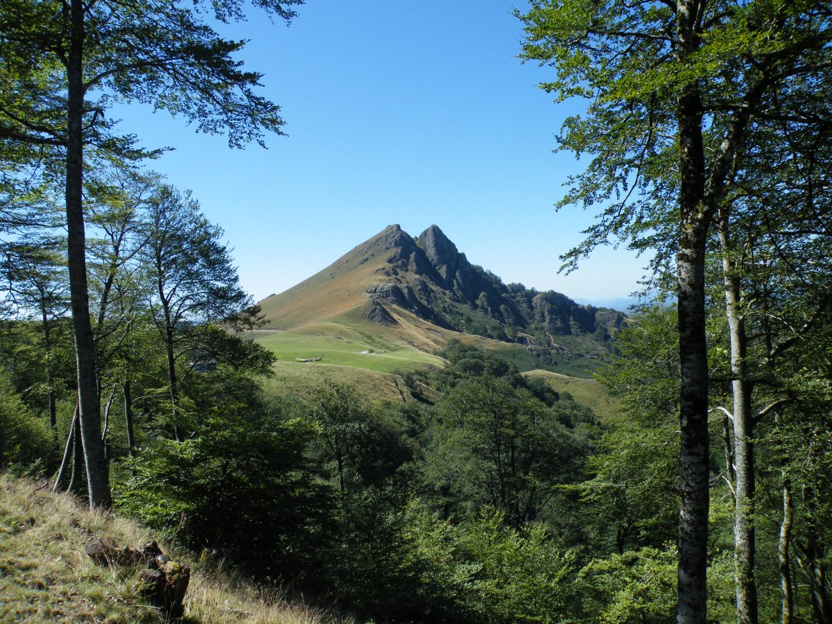 Irauko lepo ingurutik