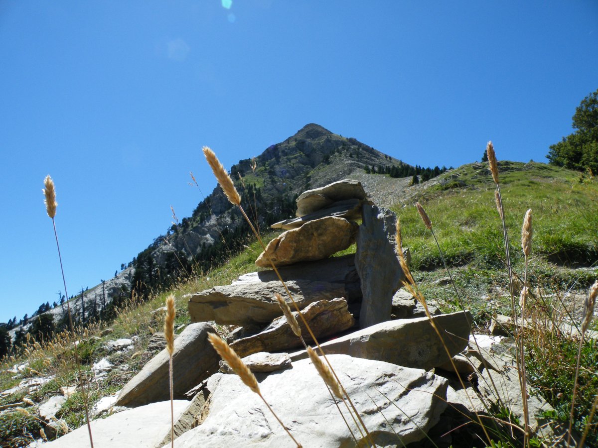 Tontorra, Linzatik doan bidetik ikusita