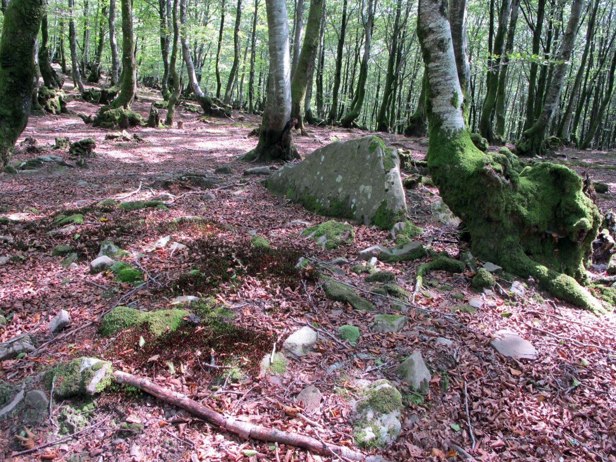 LEGATE 7 (Etxeberzea)