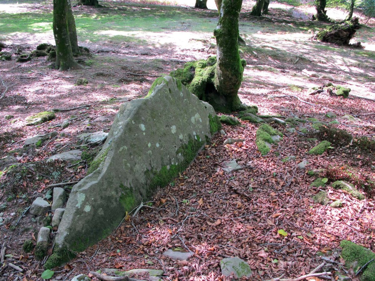 LEGATE 7 (Etxeberzea)