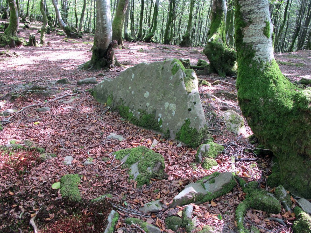 LEGATE 7 (Etxeberzea)