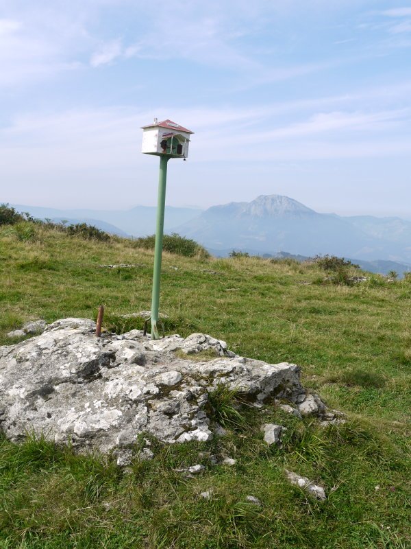 Murugilgo Txartelontzia