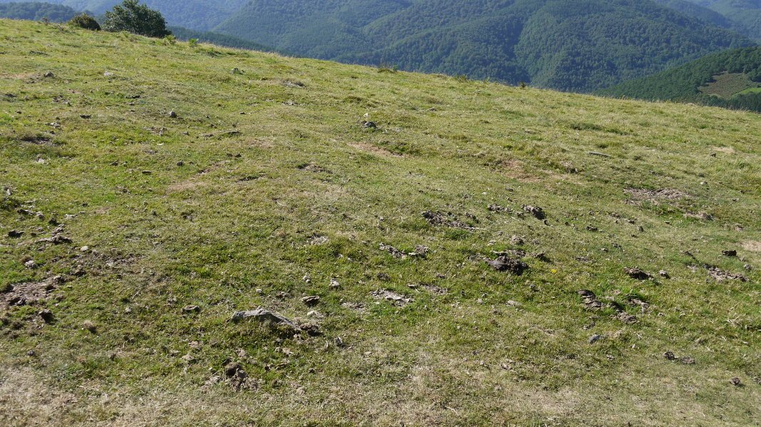 2. Doi-doi ikusten dira harri muturrak lur azalean