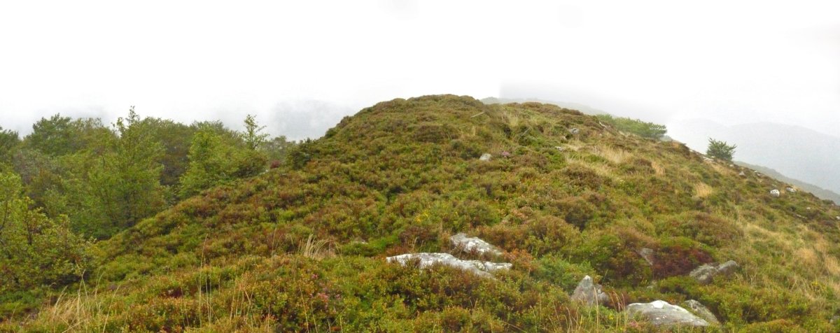 Arteko Gaina, Erregerenaren iparraldeko gailurra