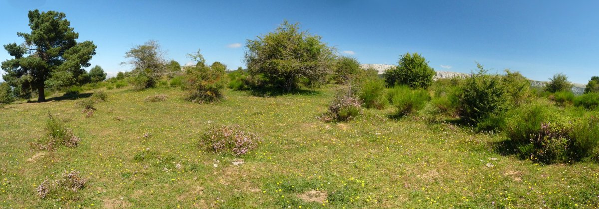 Itzagibelgo gainaldea