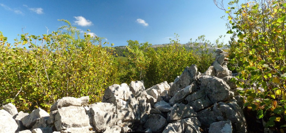 Bonbagaineko gailurra