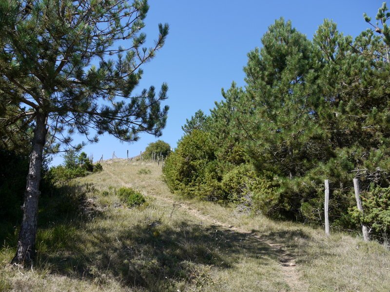 Azken metroak ohiko igoerabidetik