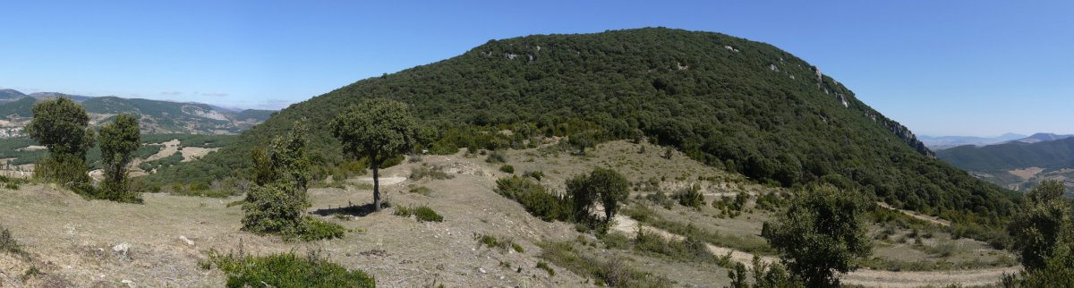 HMko lepotik ikusita