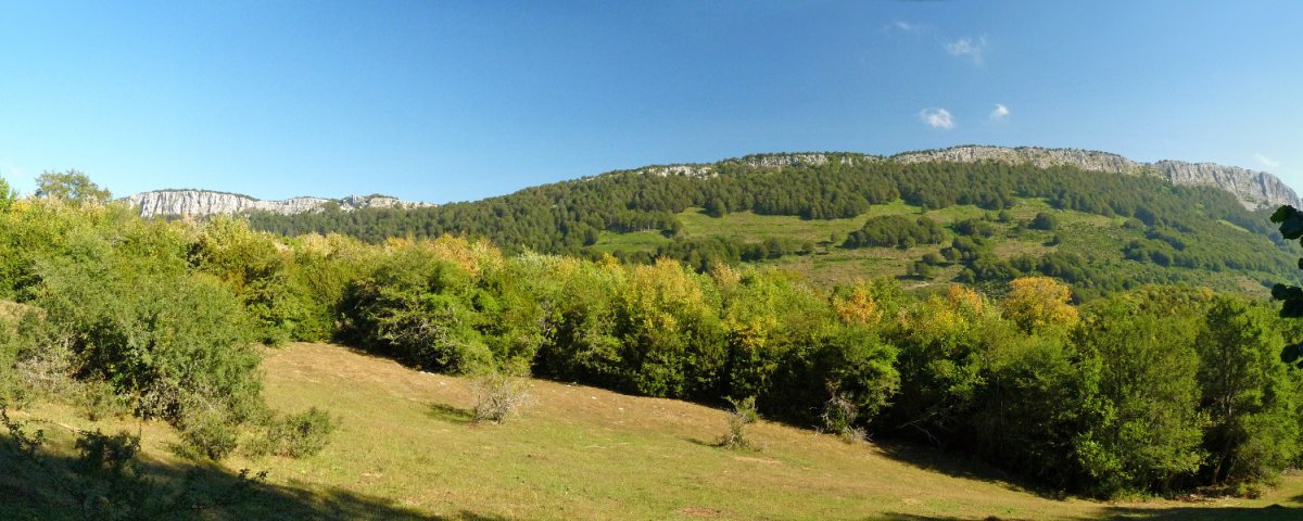 Bonbagaineko gaineko larreak