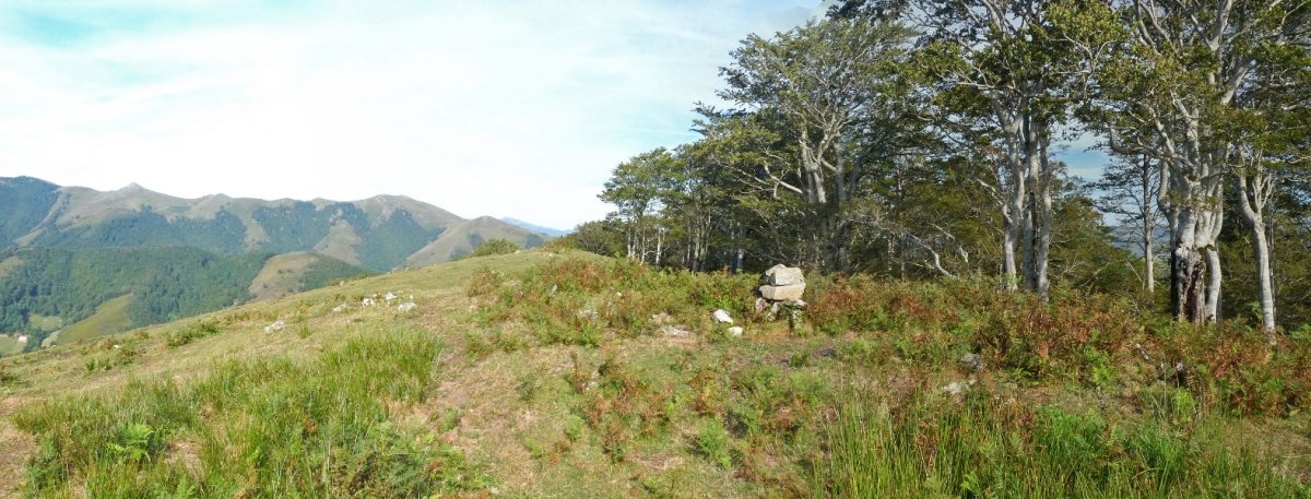 Trepako Kaskoko gailurra