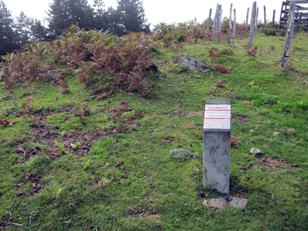 ARRITXULANGAÑA HEGO