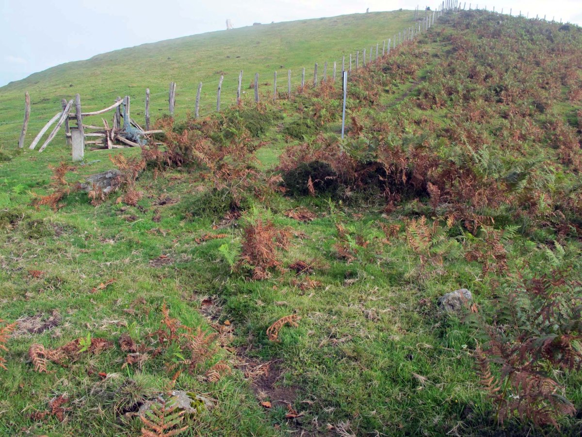 ARRITXULANGAÑA HEGO