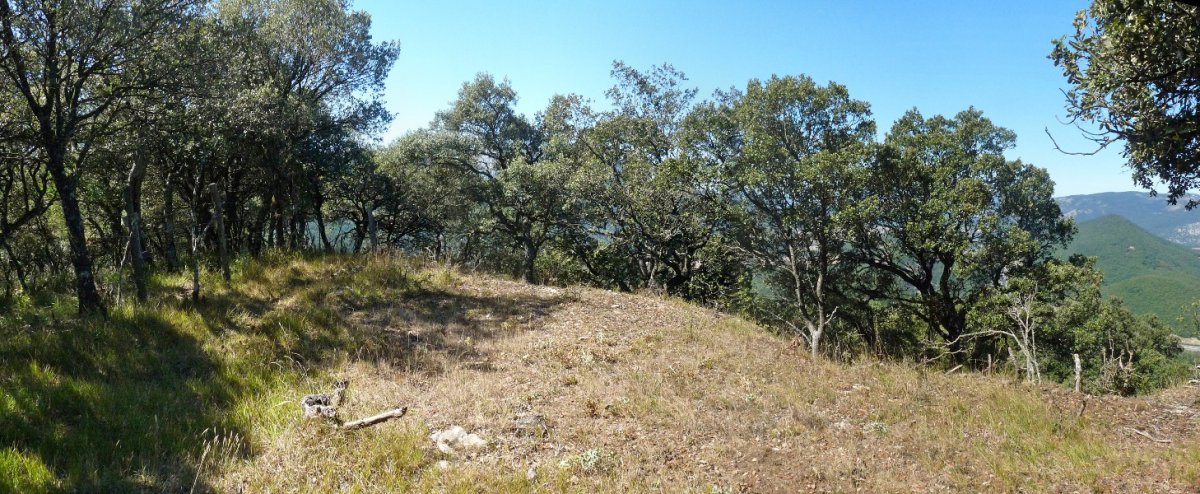 Illunbetako gailurra