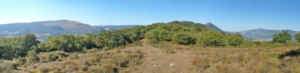 Oskia-Bizkaiko gainaldea