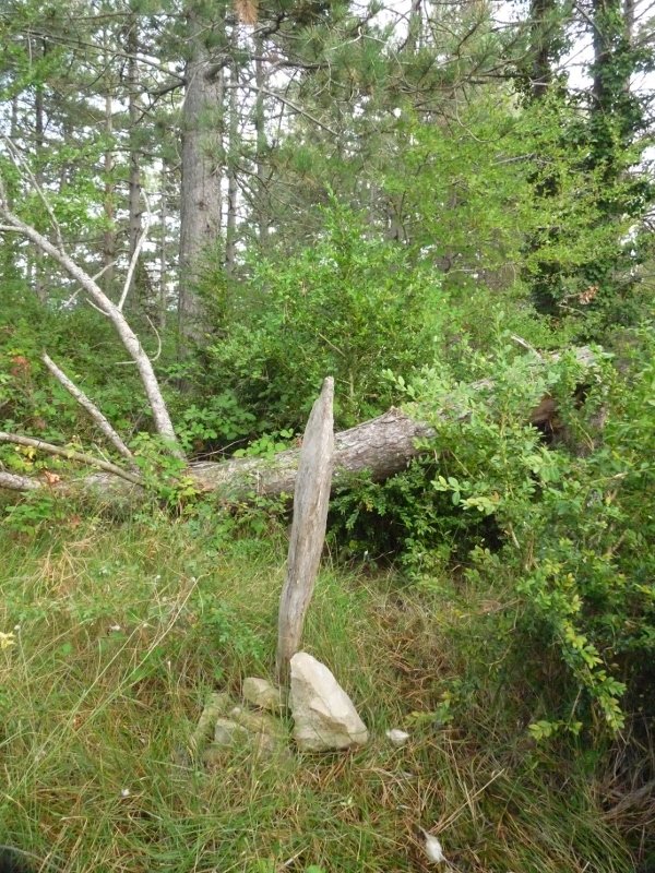 San Migelgo gailurra