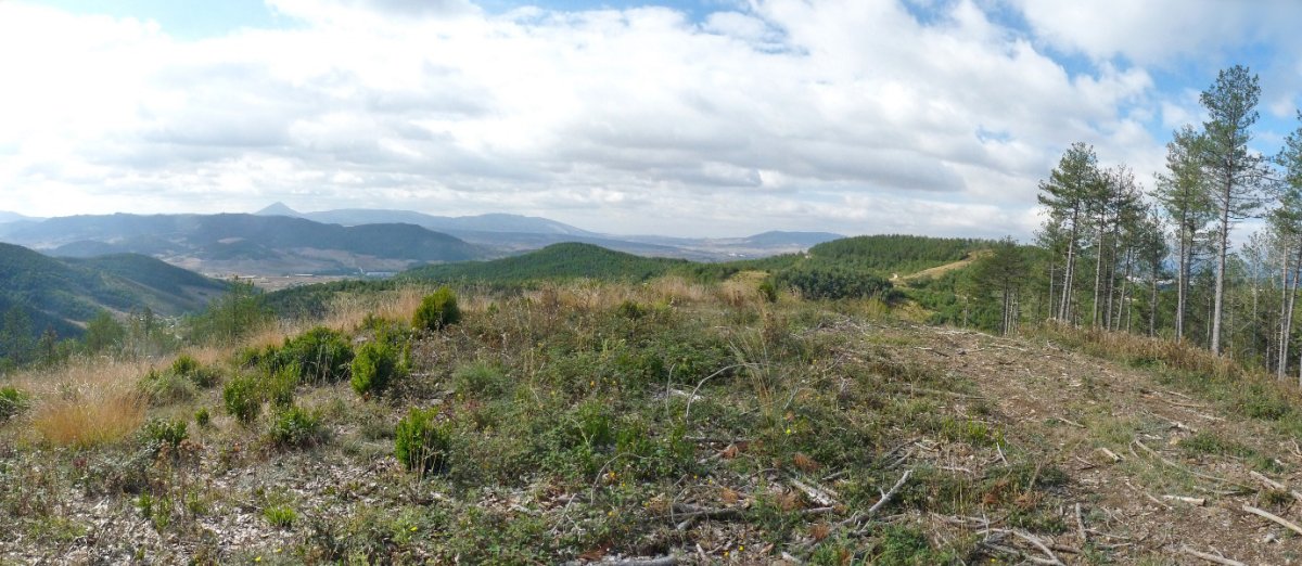 Irotzaldeko (Erkalaz) gailurra