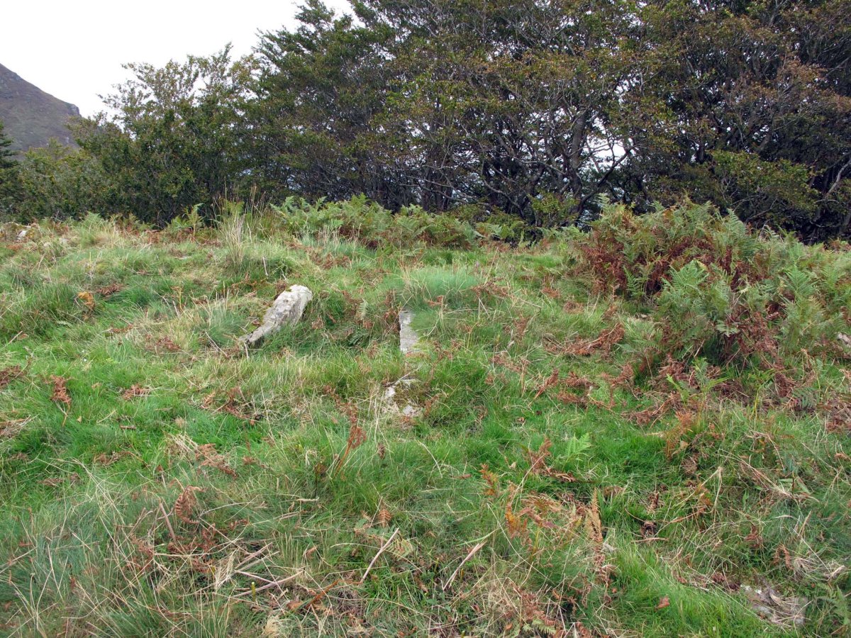 AMABIRJINEI-ARPEA II