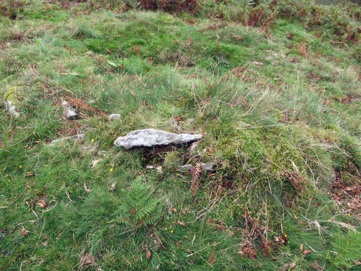 AMABIRJINEI-ARPEA III