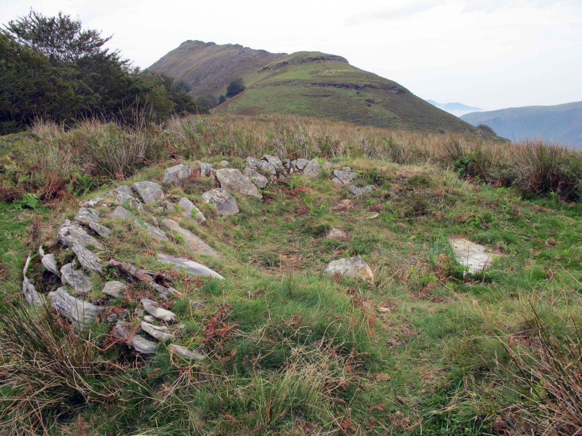 AMABIRJINEI-ARPEA IV