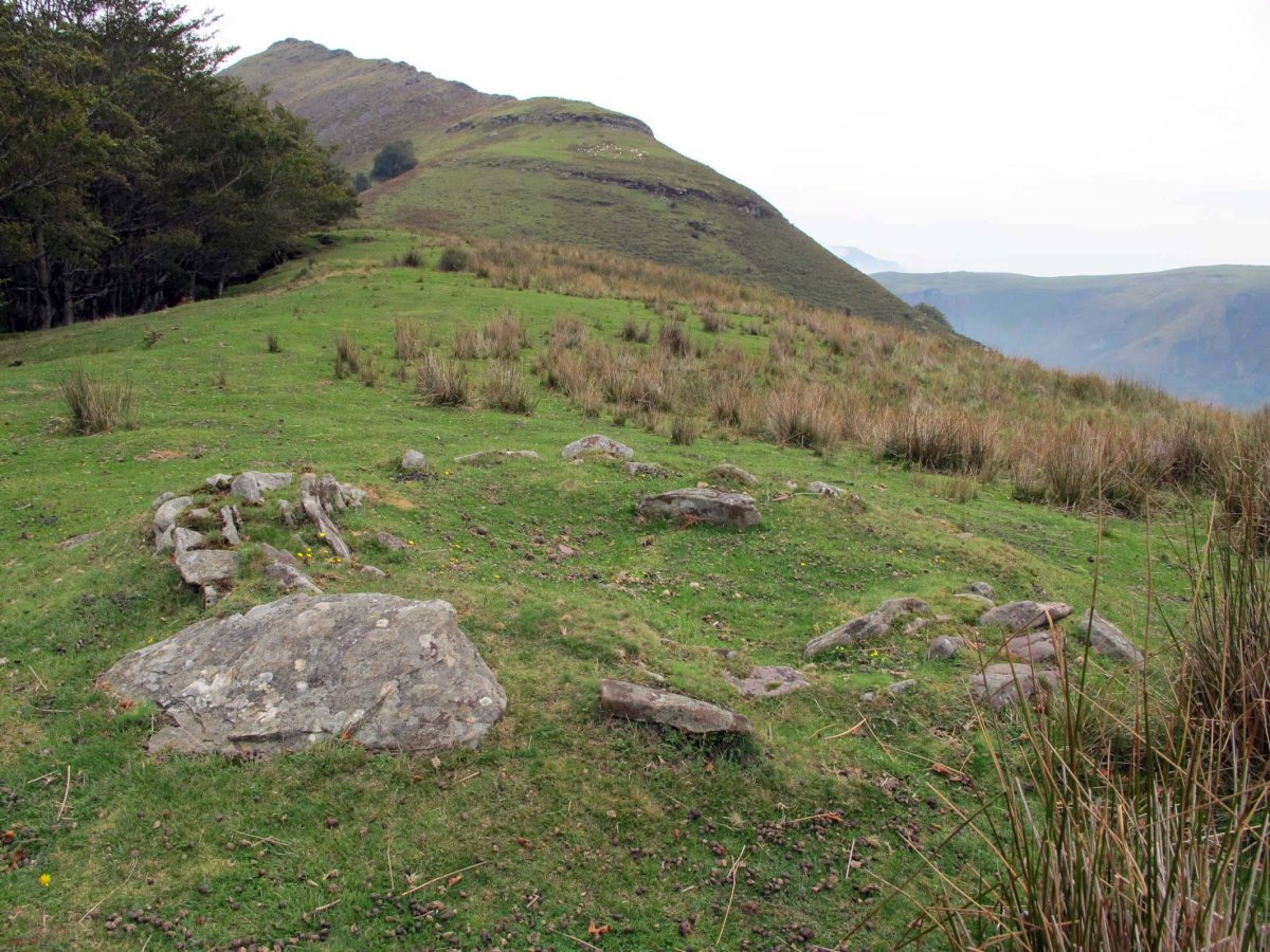 AMABIRJINEI-ARPEA VI