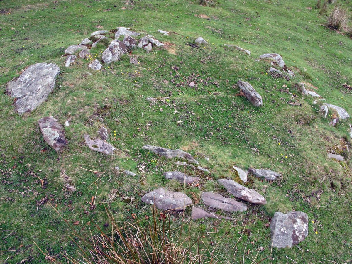 AMABIRJINEI-ARPEA VI