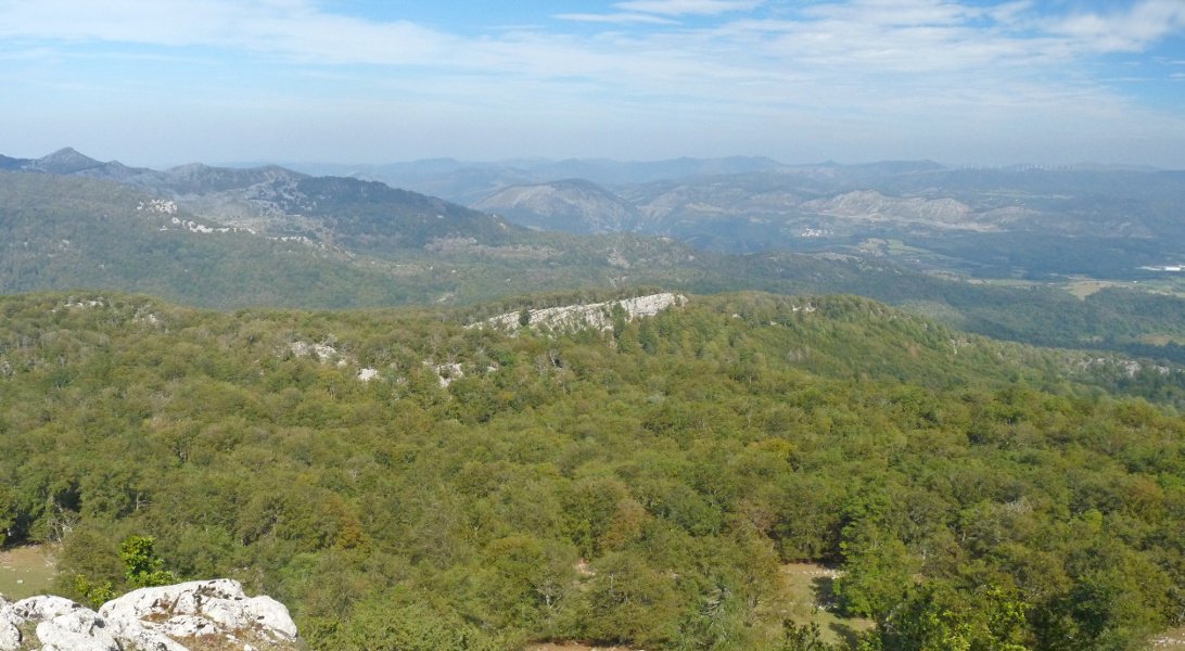 Posteroko Haitza Artxuetatik