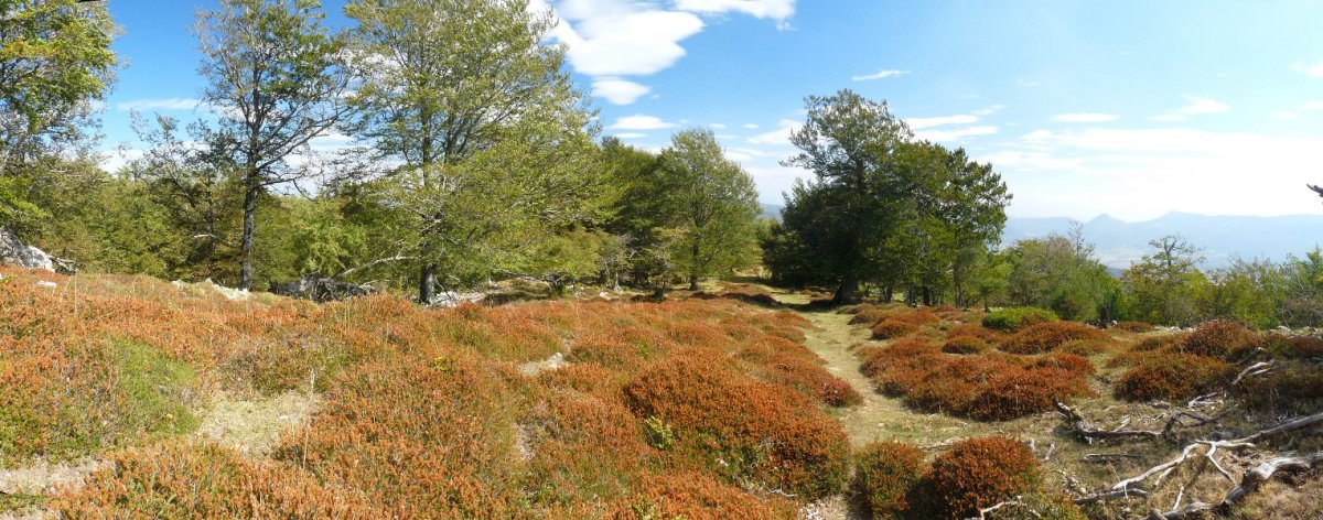 Ekialdeko bizkarreko bidea