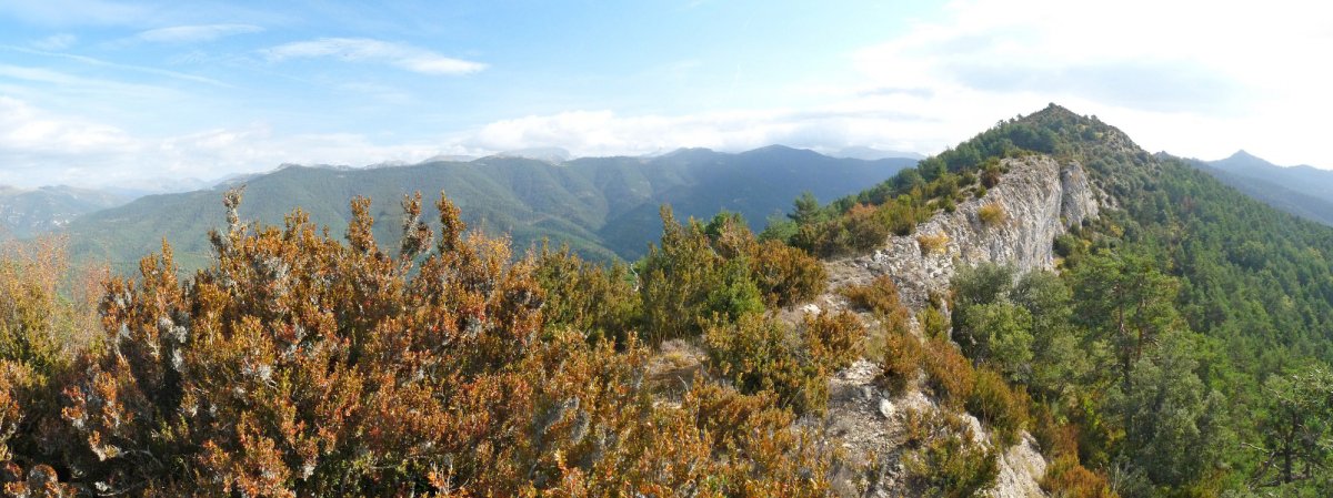 San Migelgo gandorra eta gailurra