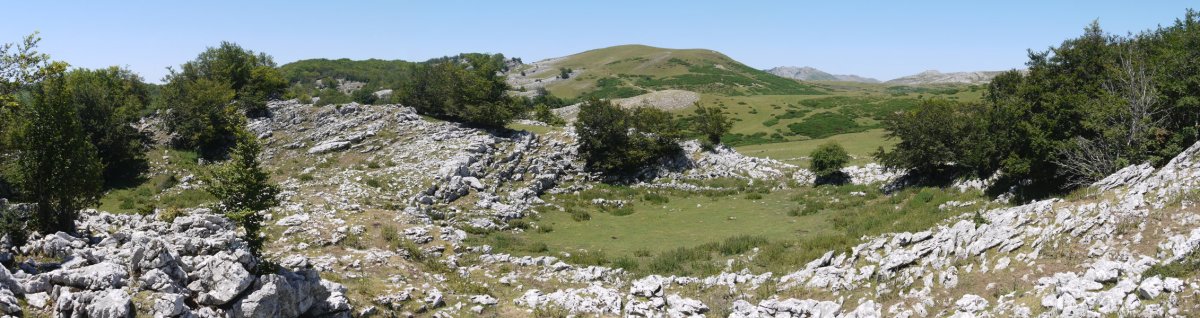 Txameni eta Desaomendi arteko paisaia