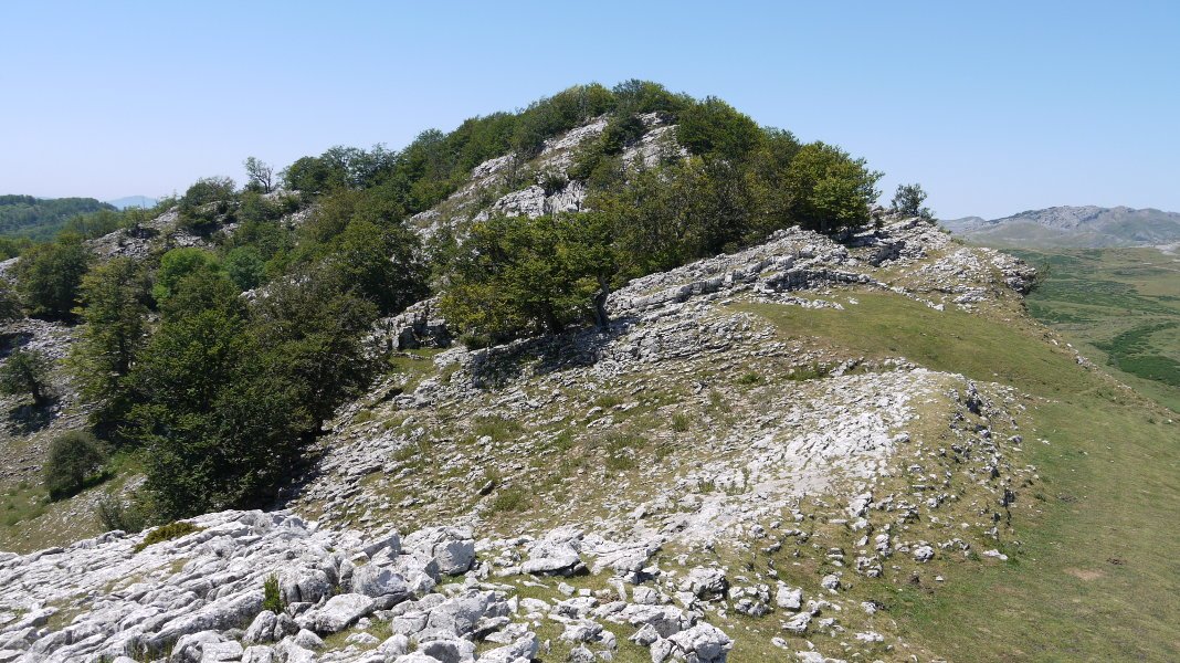 Tontorra Ekialdetik ikusita