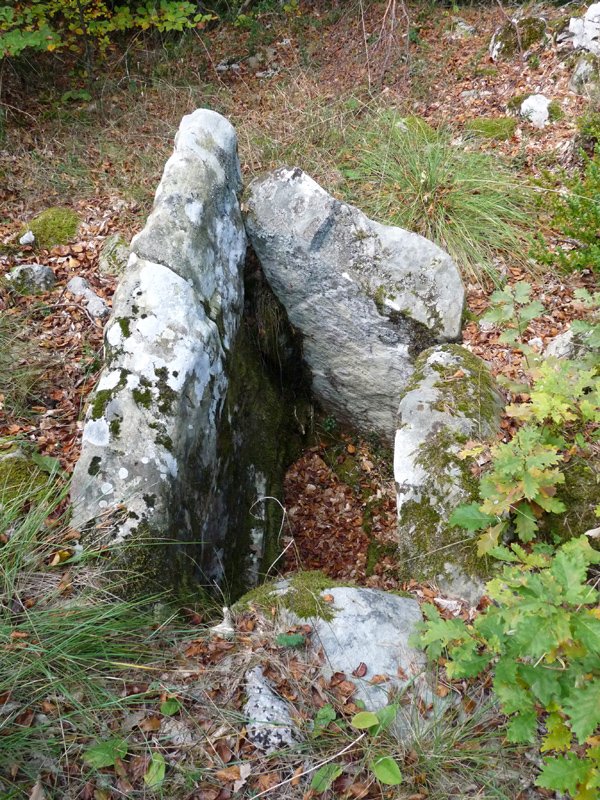 Jorabilako trikuharria