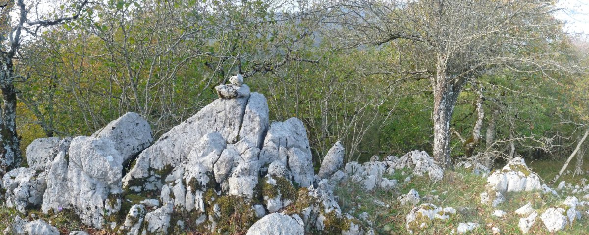 Egillor mendiko gailurra (910m)