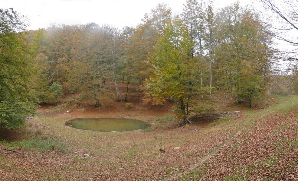 Baso ederrak Illarraundi inguruan