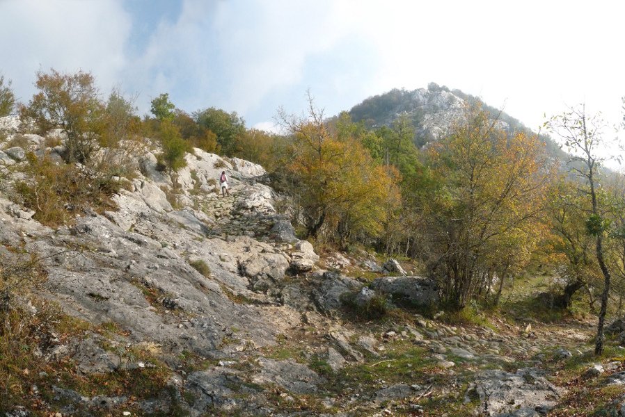 Bidea, Saldisgaingo malkarrek zaindua