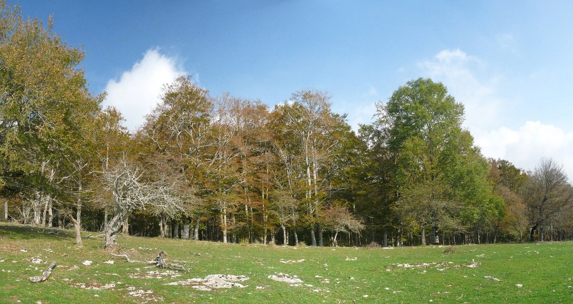 Gailurraren hegoaldean paisaia zabaldu egiten da