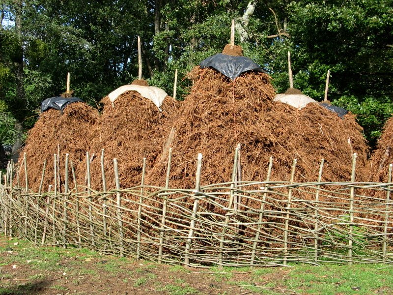Iratze metak lizar adarrez egindako hesiaz inguratuta
