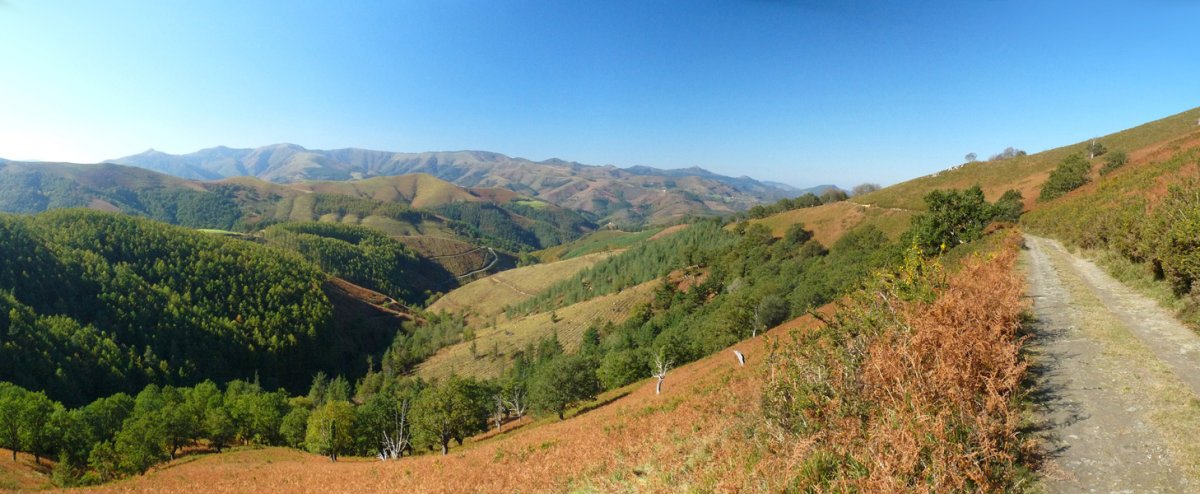 Goizueta inguruko paisaiak Zumarreneko bidetik