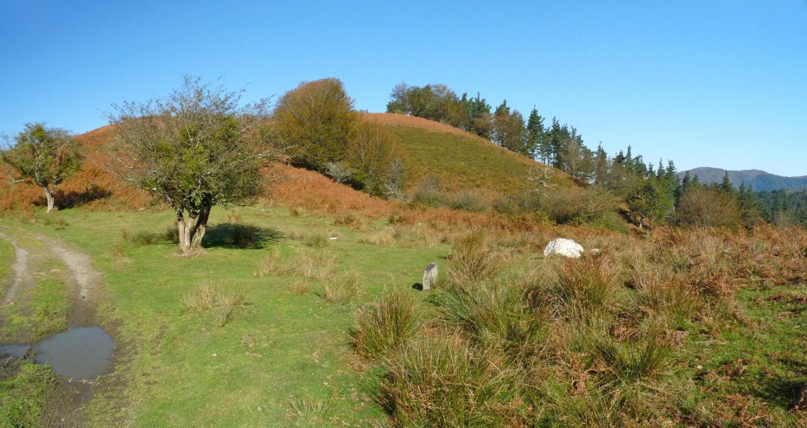Altuetako edo Mendiurkulluko lepoa. Atzean, Deskantsuko Bizkarra