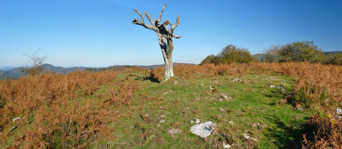 Deskantsuko Bizkarreko gailurra eta harrespila