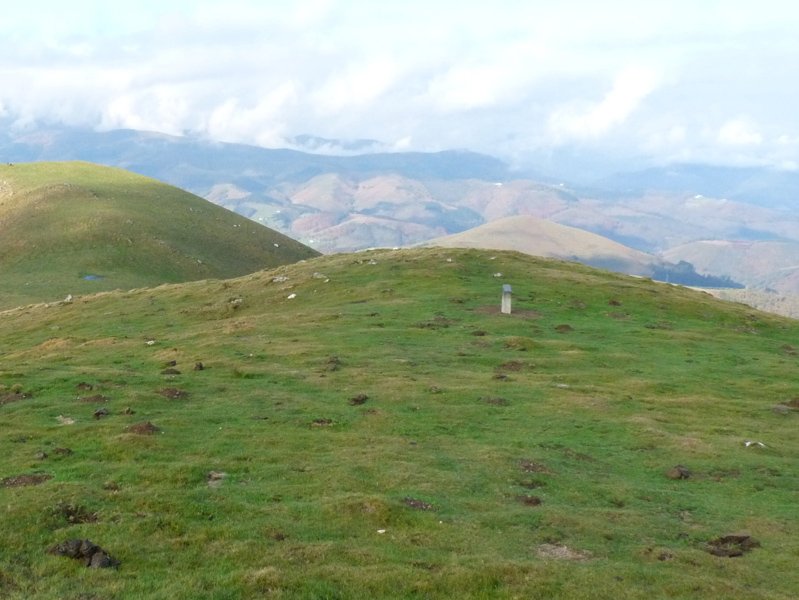 Arramaletako bizkarreko harrespila