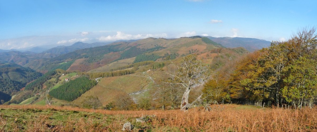 Arlepoko bizkarrean gora